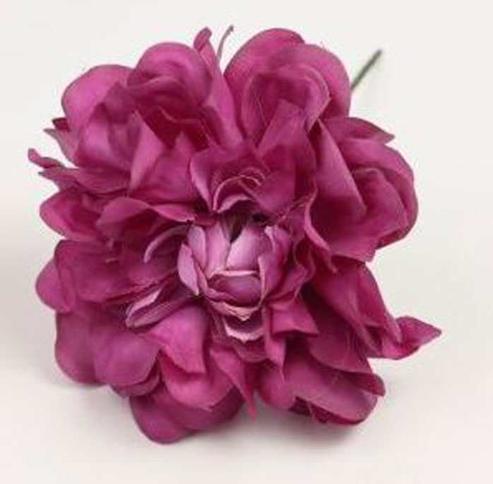 Zinnia. Fleur de Flamenco. Cerise. 9cm